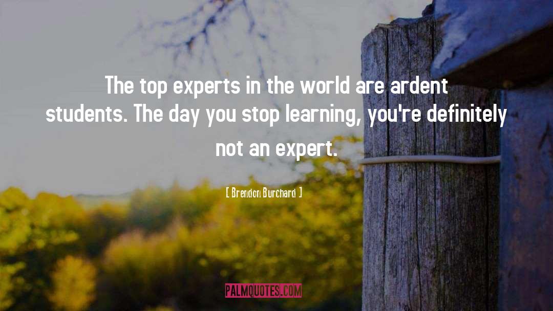 Brendon Burchard Quotes: The top experts in the