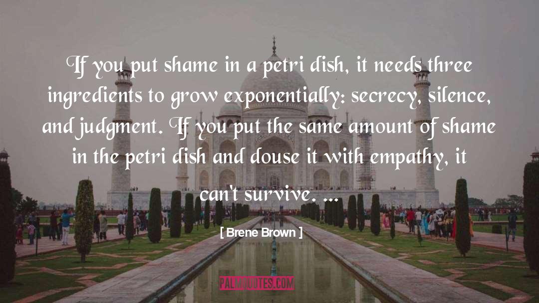 Brene Brown Quotes: If you put shame in