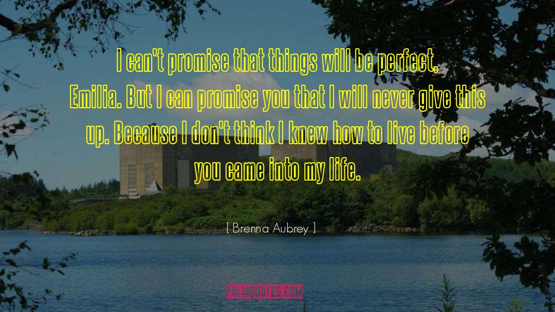 Brenna Aubrey Quotes: I can't promise that things