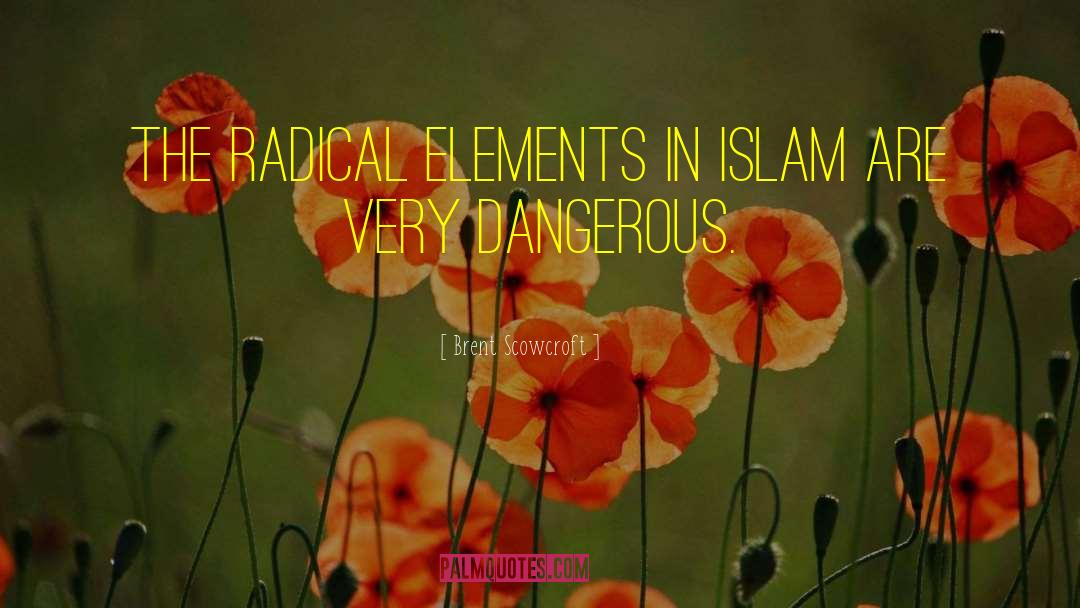 Brent Scowcroft Quotes: The radical elements in Islam