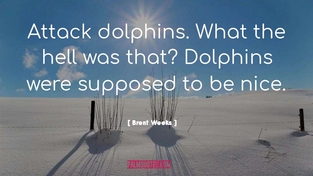 Brent Weeks Quotes: Attack dolphins. What the hell