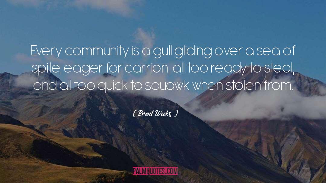 Brent Weeks Quotes: Every community is a gull