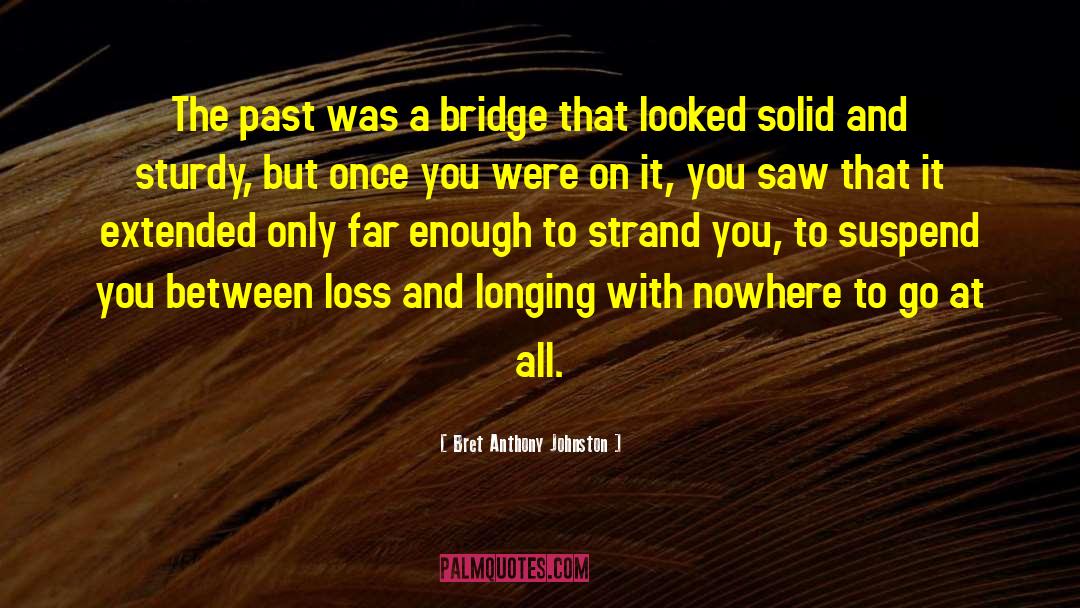 Bret Anthony Johnston Quotes: The past was a bridge