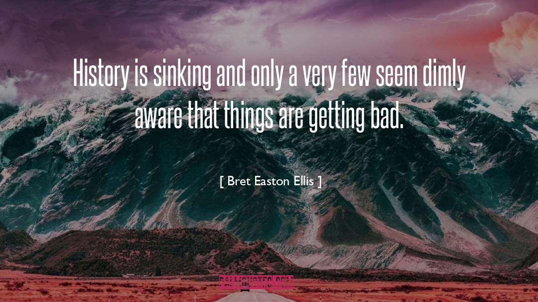 Bret Easton Ellis Quotes: History is sinking and only