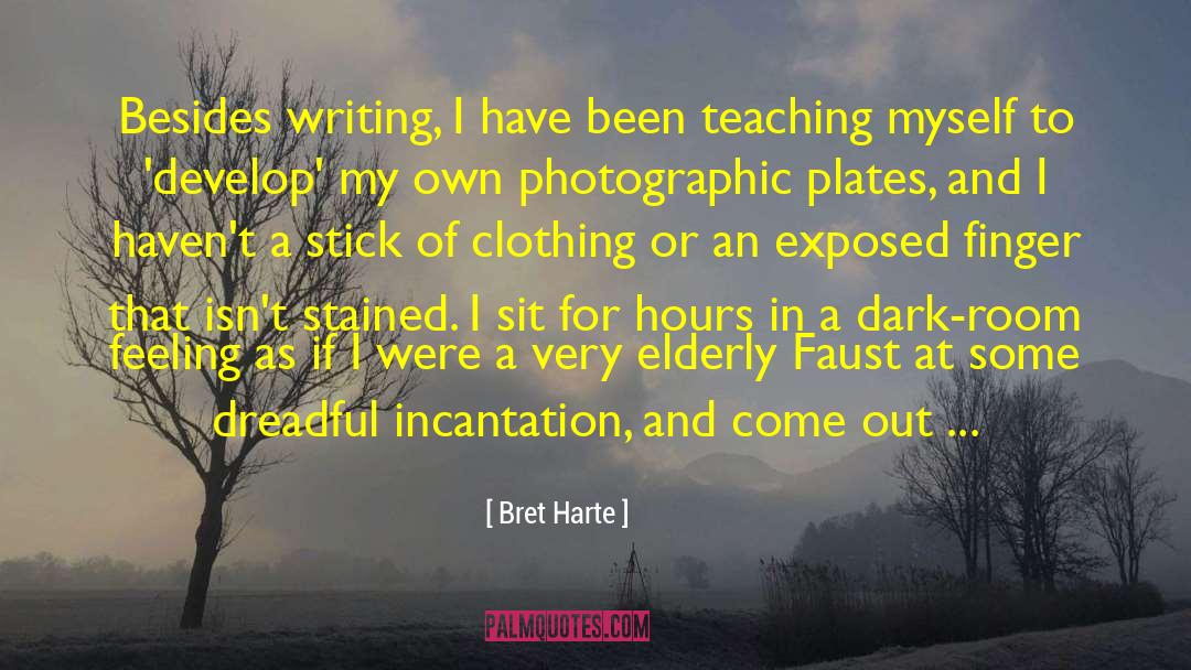 Bret Harte Quotes: Besides writing, I have been