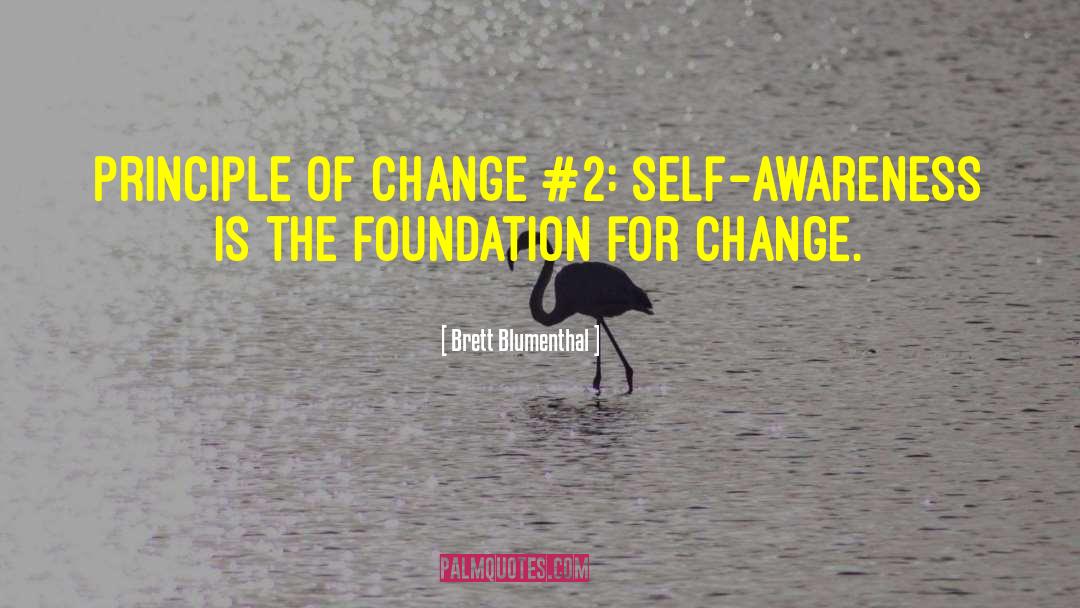 Brett Blumenthal Quotes: Principle of Change #2: Self-awareness