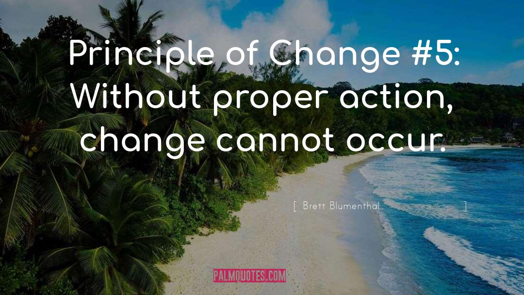 Brett Blumenthal Quotes: Principle of Change #5: Without