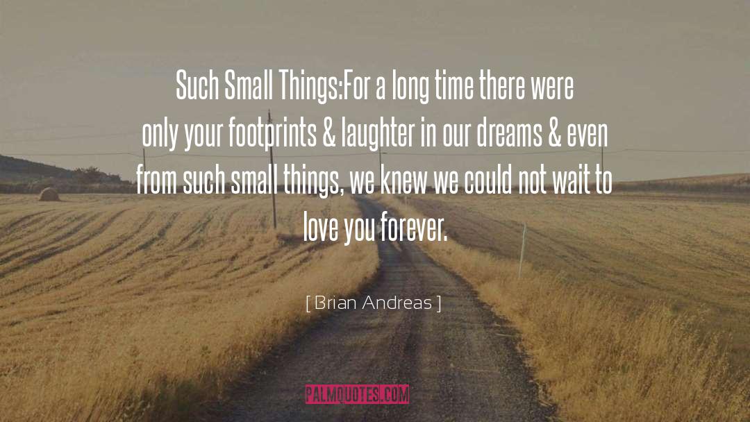 Brian Andreas Quotes: Such Small Things:<br>For a long