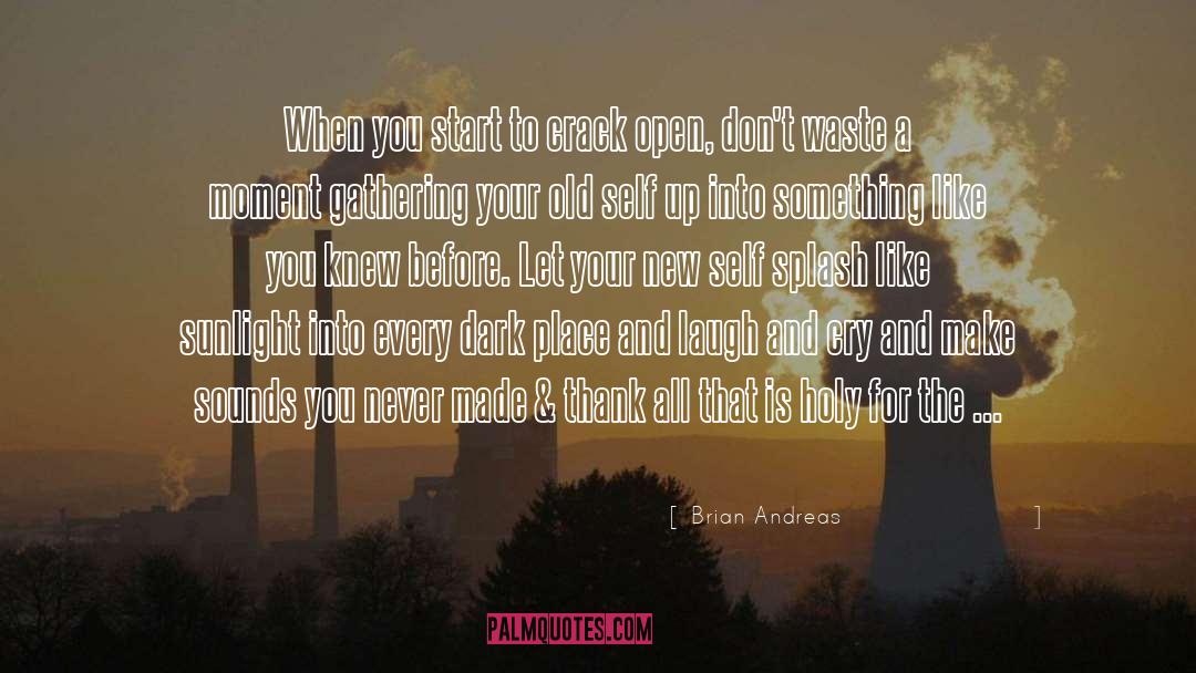 Brian Andreas Quotes: When you start to crack
