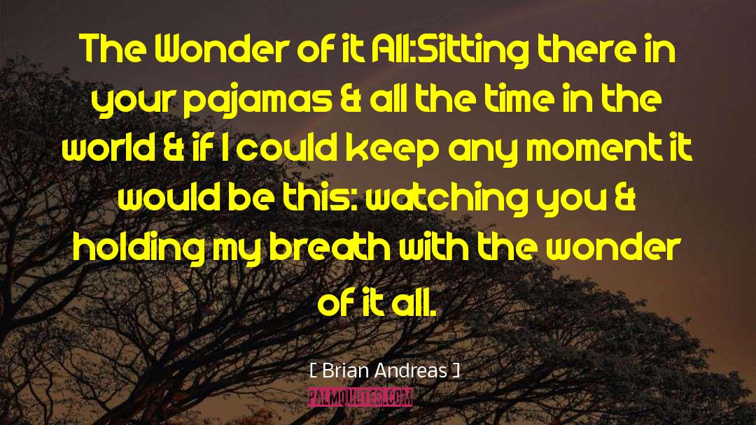 Brian Andreas Quotes: The Wonder of it All:<br>Sitting