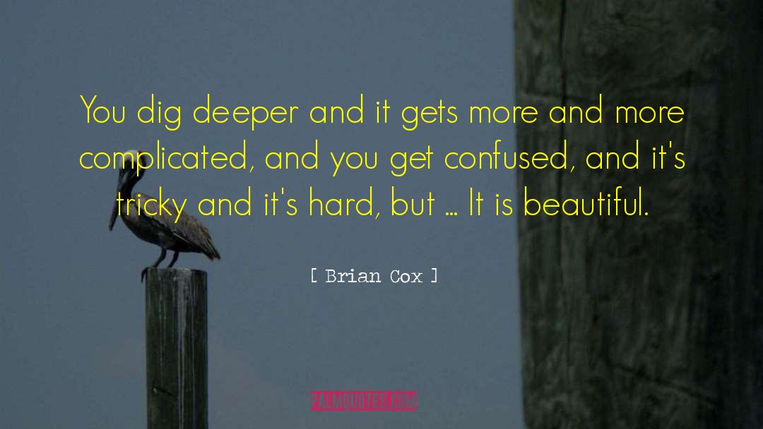 Brian Cox Quotes: You dig deeper and it