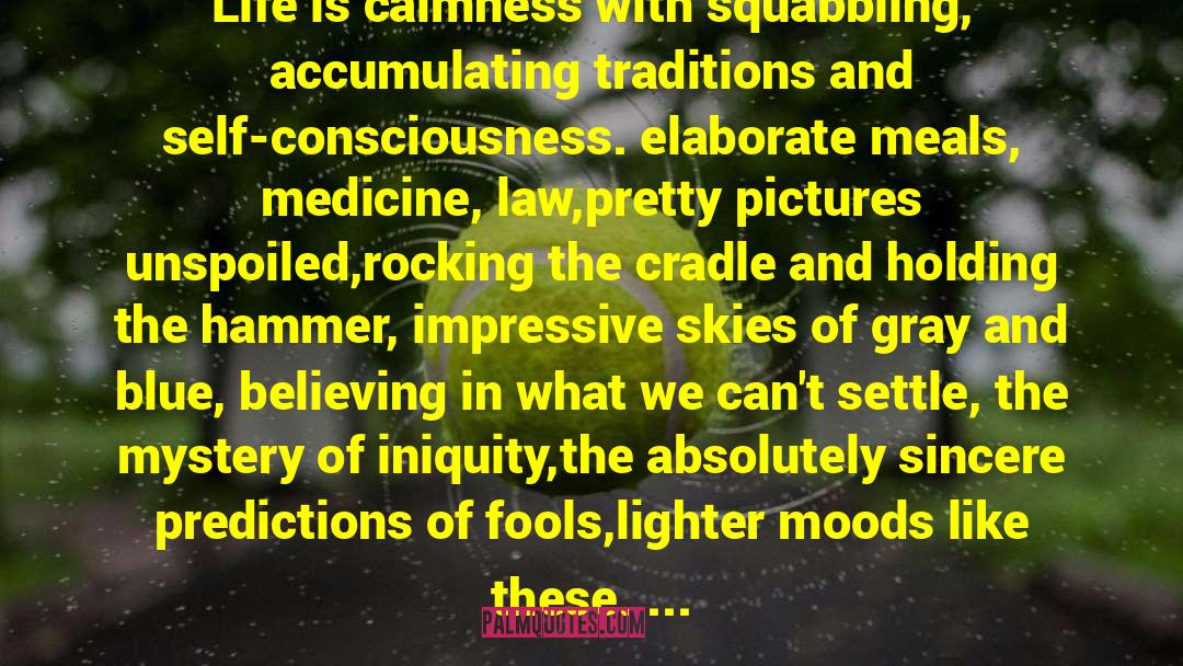 Brian D'Ambrosio Quotes: Life is calmness with squabbling,