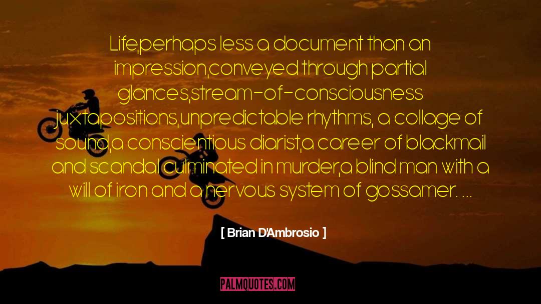 Brian D'Ambrosio Quotes: Life,<br />perhaps less a document