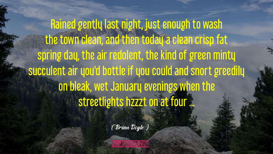 Brian Doyle Quotes: Rained gently last night, just