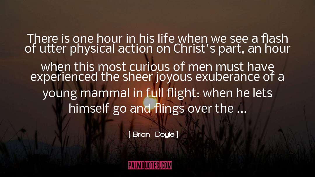 Brian Doyle Quotes: There is one hour in