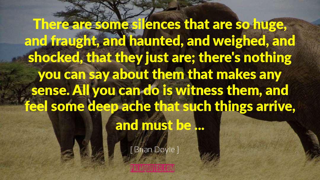 Brian Doyle Quotes: There are some silences that