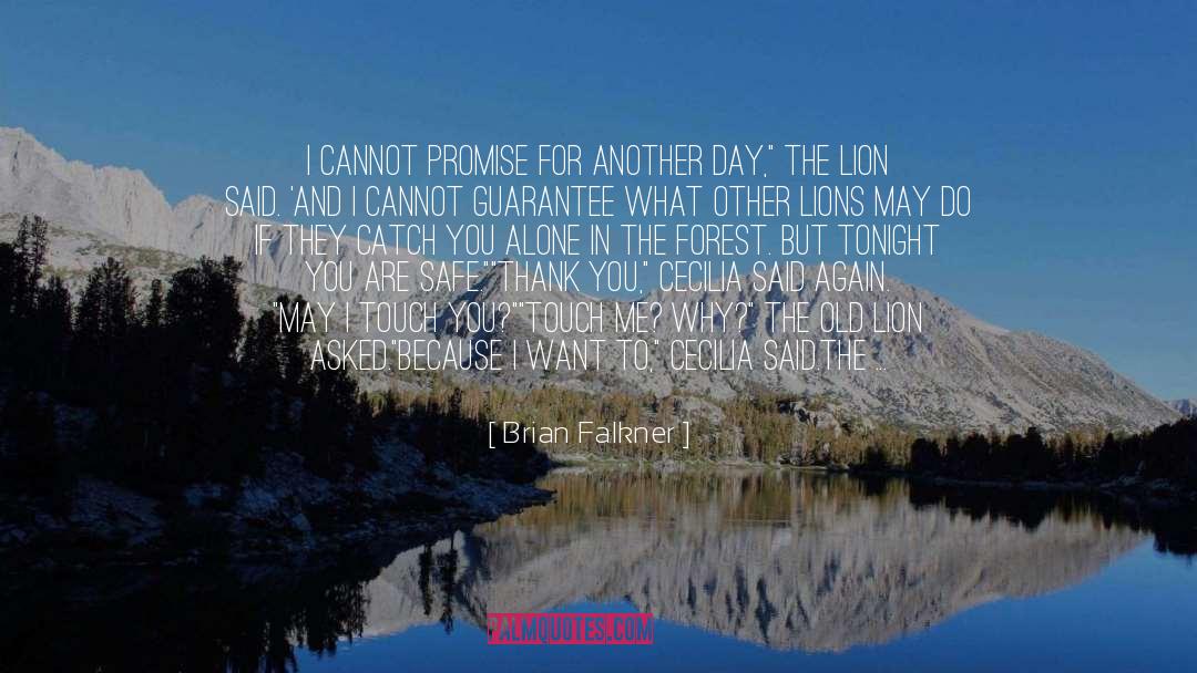 Brian Falkner Quotes: I cannot promise for another