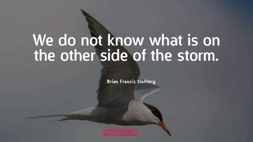 Brian Francis Slattery Quotes: We do not know what