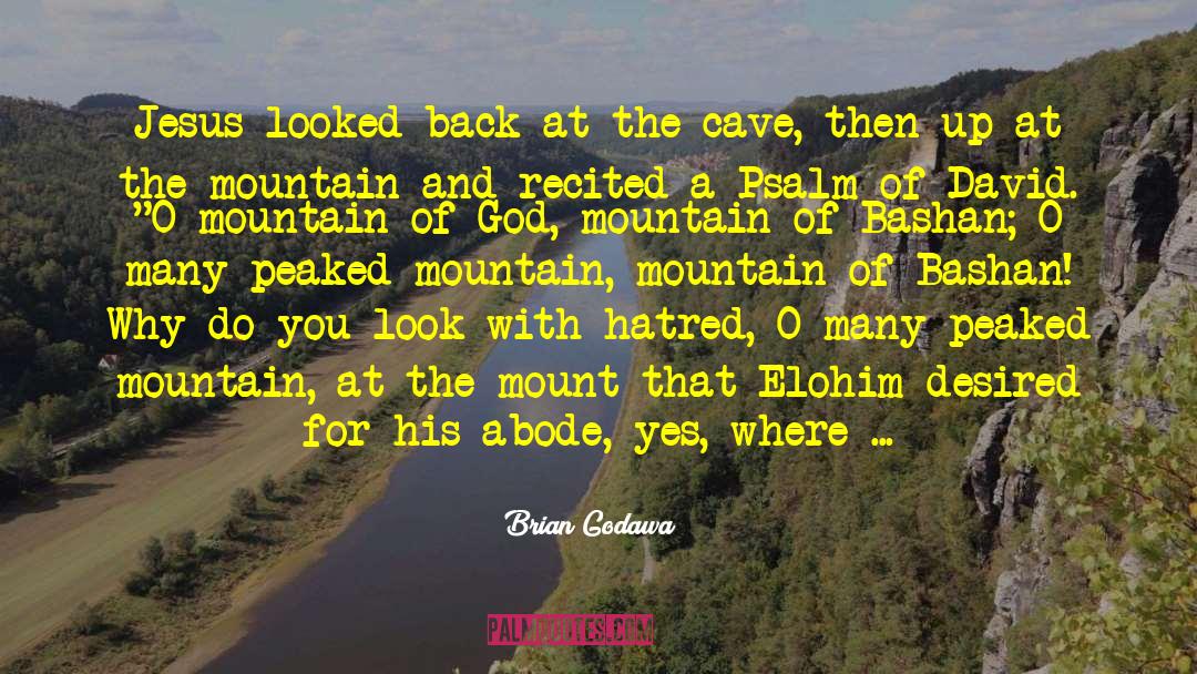 Brian Godawa Quotes: Jesus looked back at the