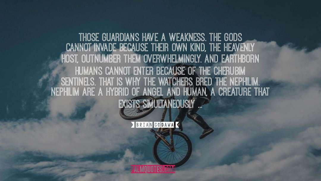 Brian Godawa Quotes: Those guardians have a weakness.