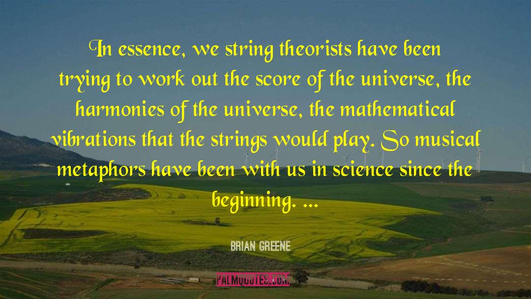 Brian Greene Quotes: In essence, we string theorists