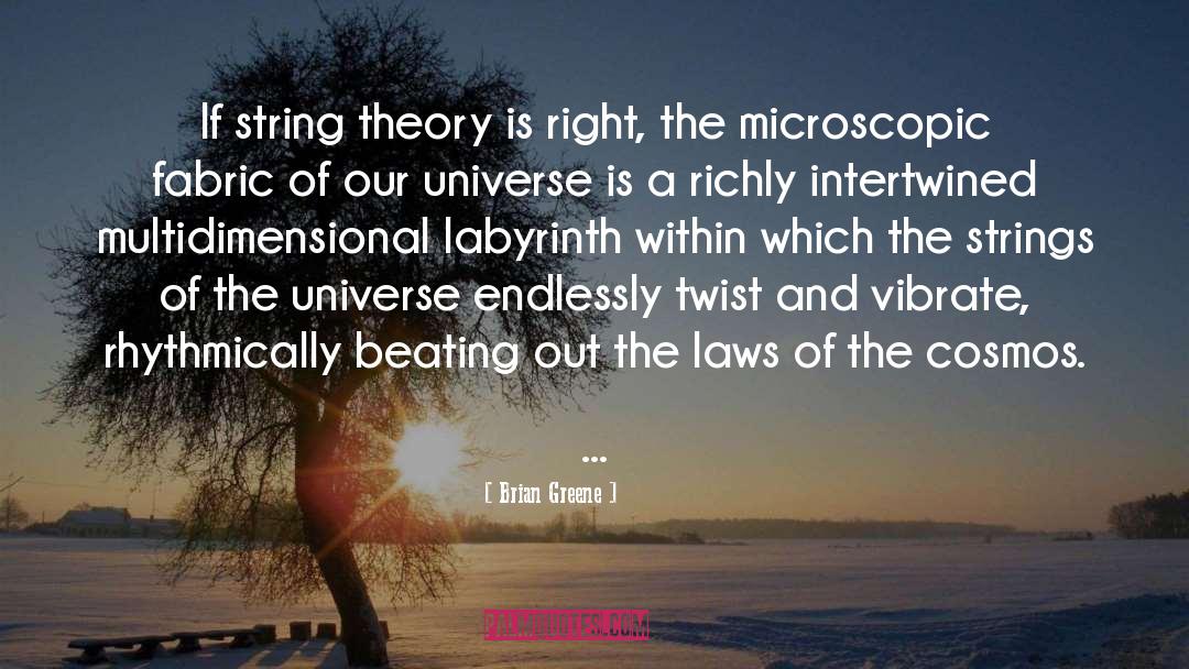 Brian Greene Quotes: If string theory is right,