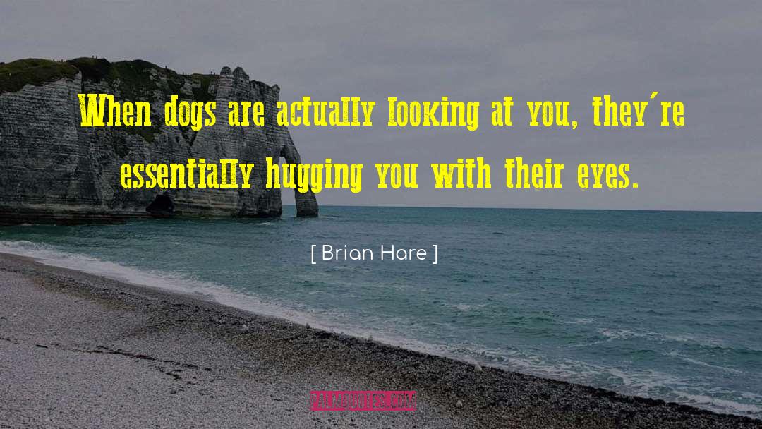 Brian Hare Quotes: When dogs are actually looking
