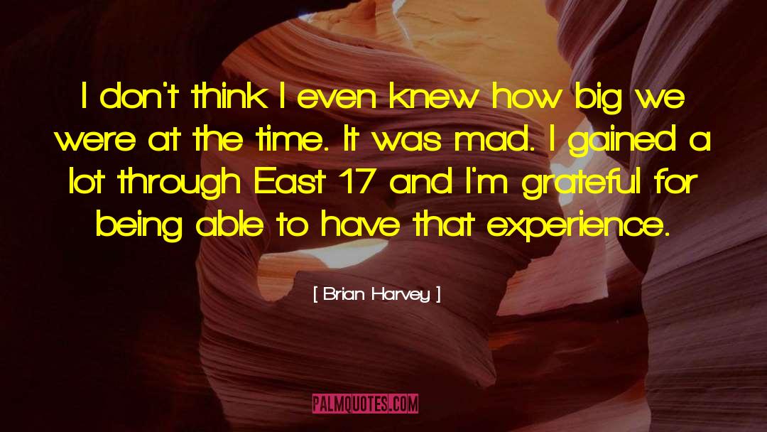 Brian Harvey Quotes: I don't think I even