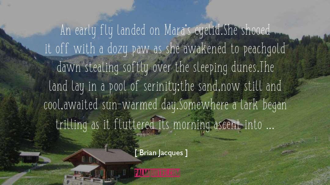 Brian Jacques Quotes: An early fly landed on