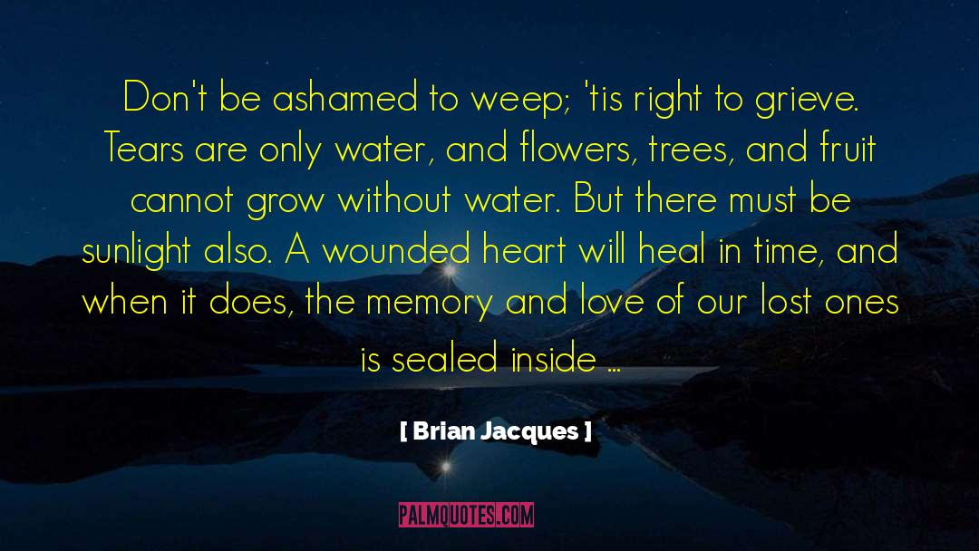 Brian Jacques Quotes: Don't be ashamed to weep;