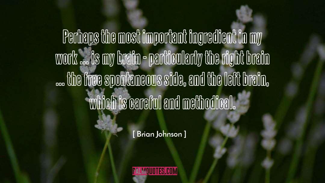 Brian Johnson Quotes: Perhaps the most important ingredient