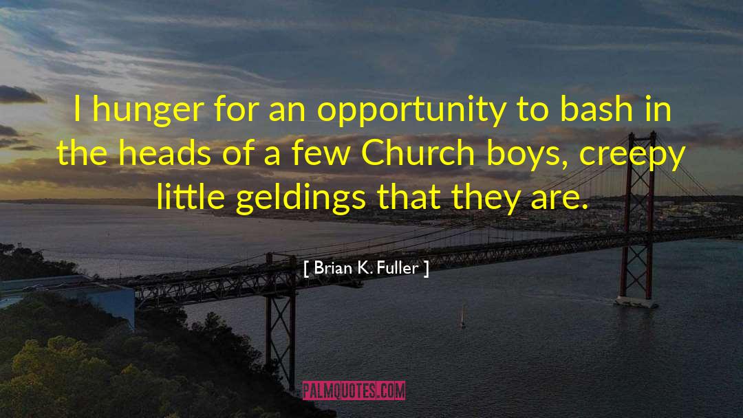 Brian K. Fuller Quotes: I hunger for an opportunity