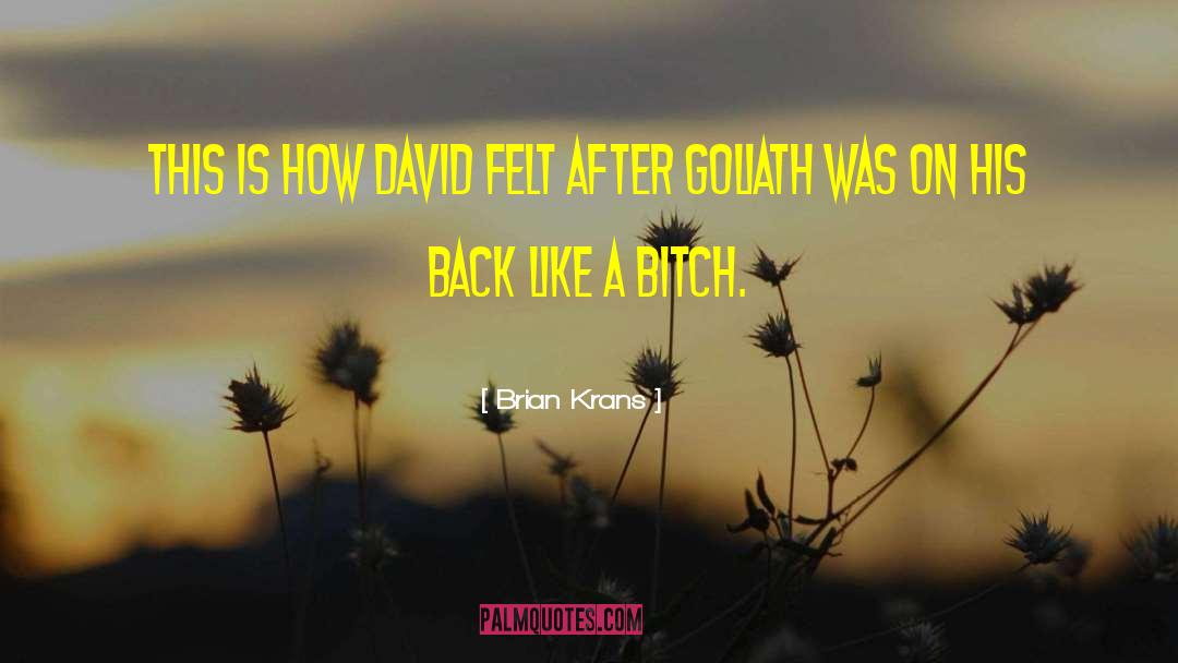 Brian Krans Quotes: This is how David felt