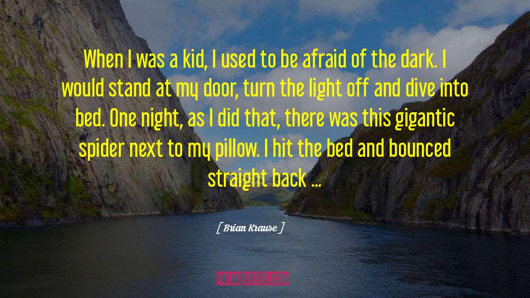 Brian Krause Quotes: When I was a kid,