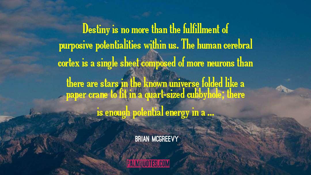 Brian McGreevy Quotes: Destiny is no more than