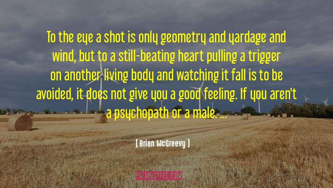 Brian McGreevy Quotes: To the eye a shot