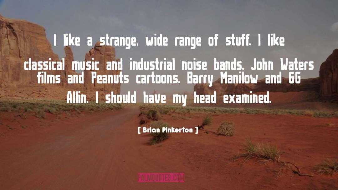 Brian Pinkerton Quotes: I like a strange, wide