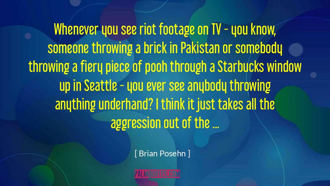 Brian Posehn Quotes: Whenever you see riot footage