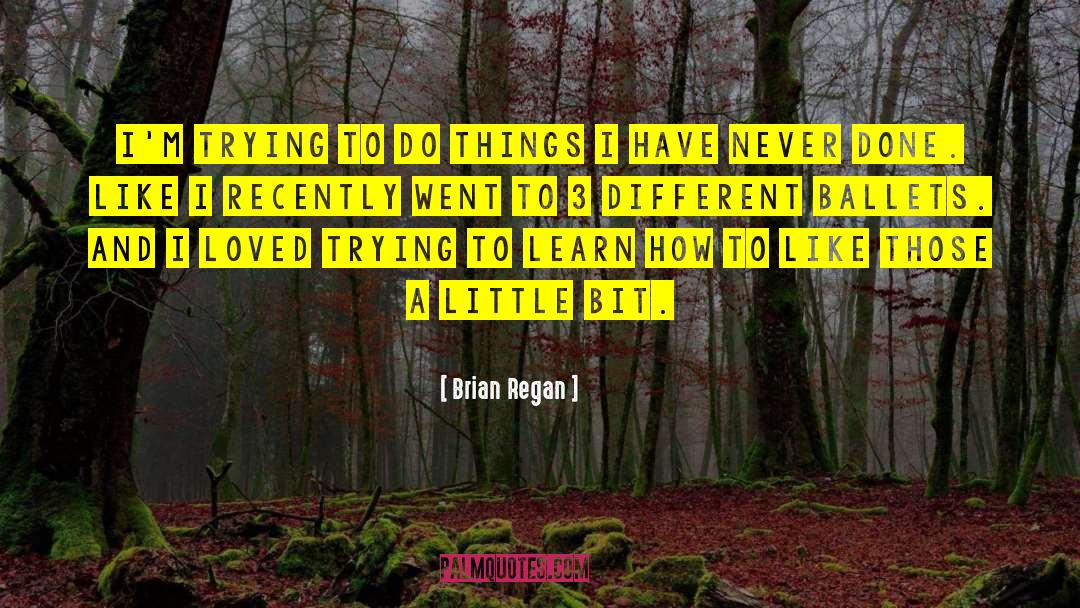 Brian Regan Quotes: I'm trying to do things