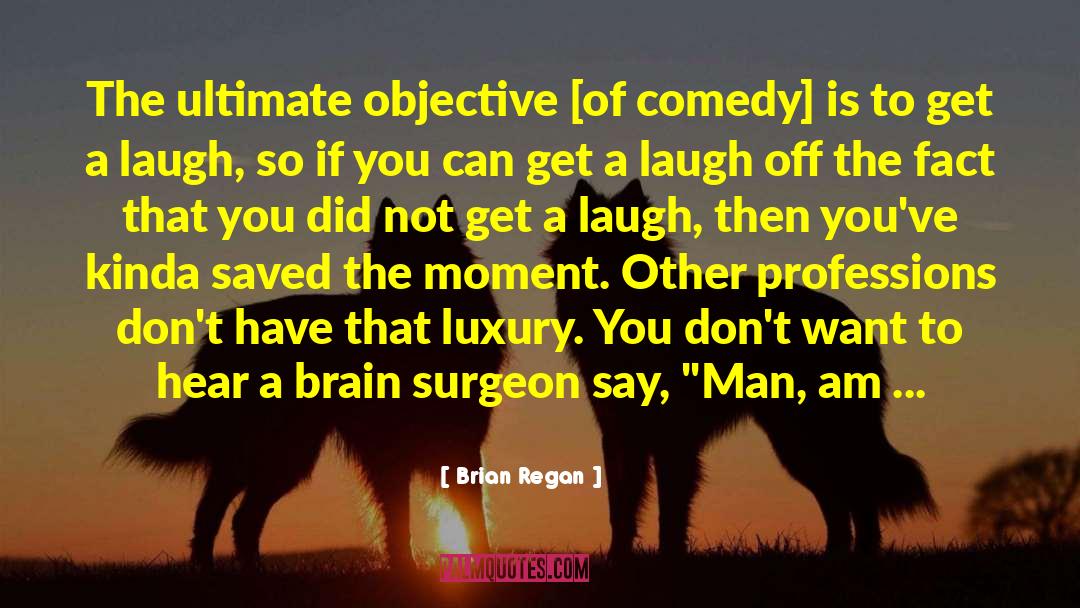 Brian Regan Quotes: The ultimate objective [of comedy]