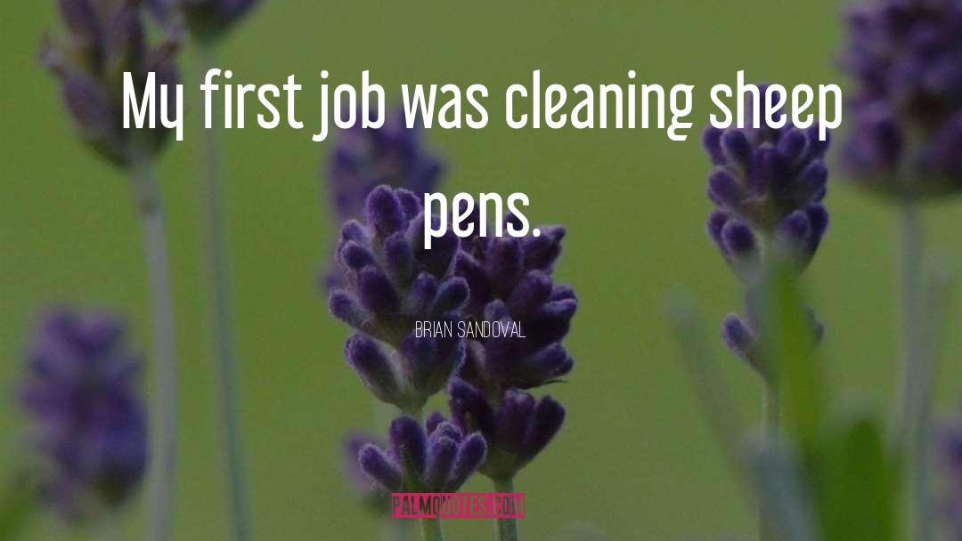 Brian Sandoval Quotes: My first job was cleaning
