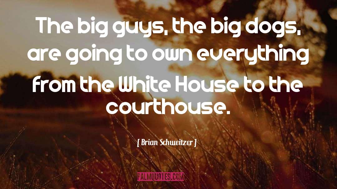 Brian Schweitzer Quotes: The big guys, the big