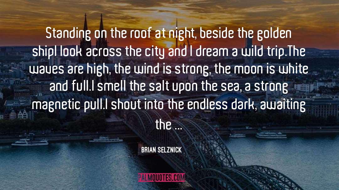 Brian Selznick Quotes: Standing on the roof at
