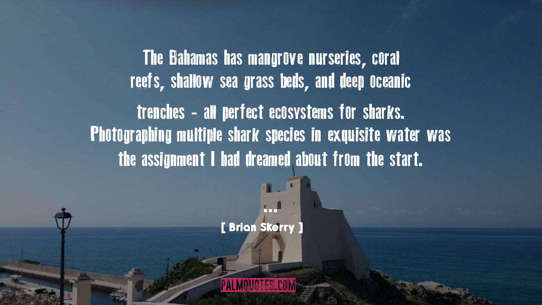 Brian Skerry Quotes: The Bahamas has mangrove nurseries,