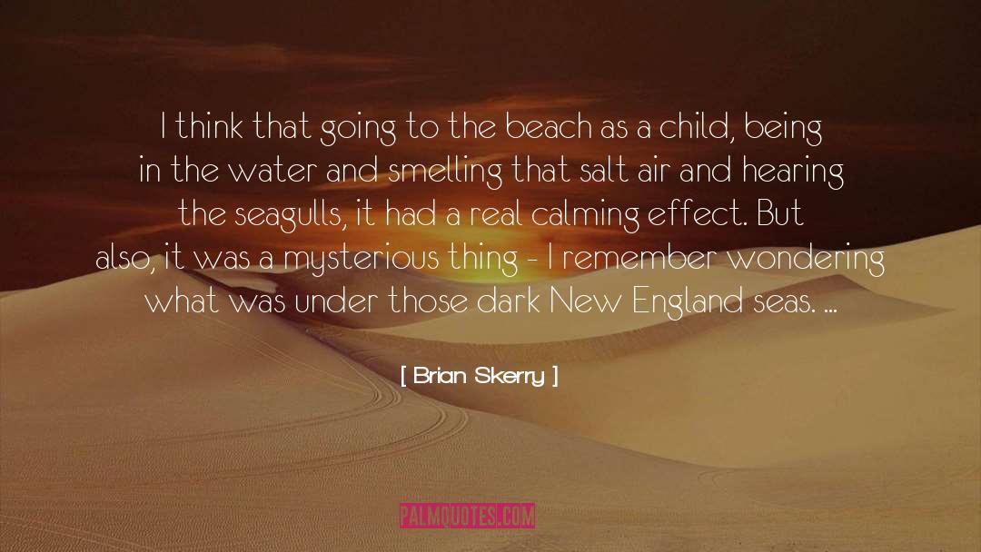 Brian Skerry Quotes: I think that going to