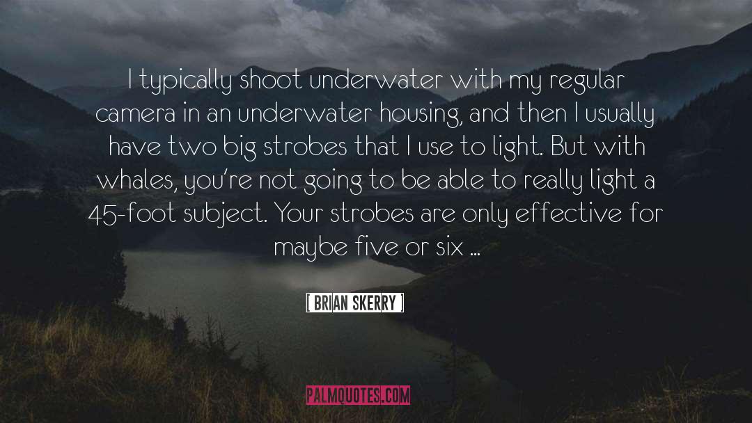 Brian Skerry Quotes: I typically shoot underwater with