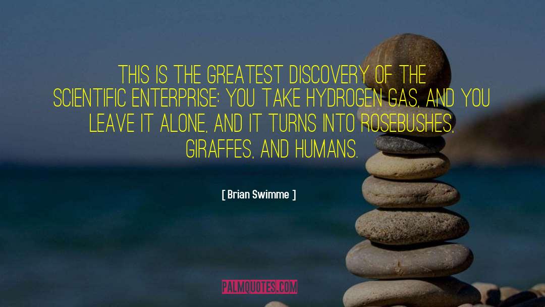 Brian Swimme Quotes: This is the greatest discovery