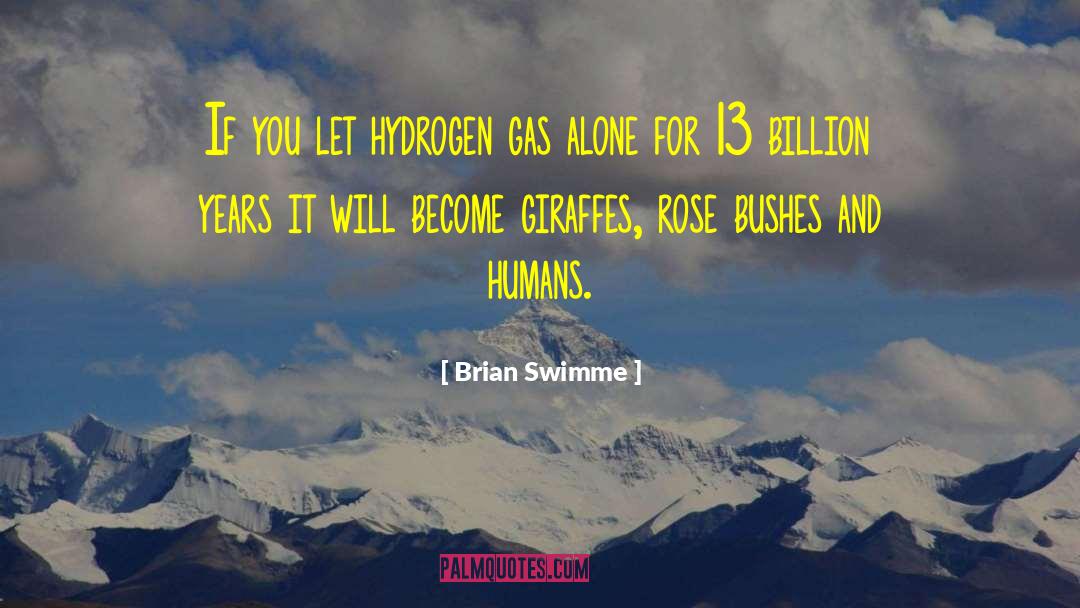 Brian Swimme Quotes: If you let hydrogen gas