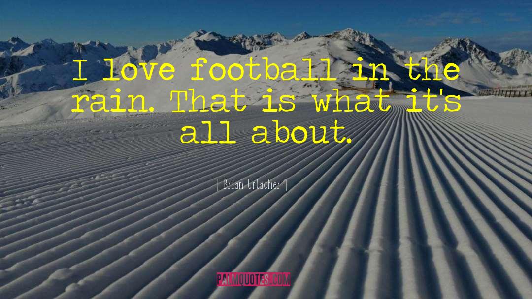 Brian Urlacher Quotes: I love football in the