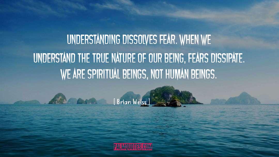 Brian Weiss Quotes: Understanding dissolves fear. When we